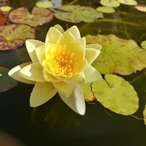 Meet your Posher, Carolyn